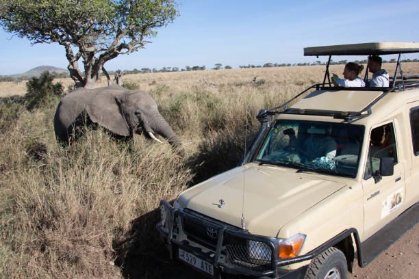 2 Days Tanzania Safari